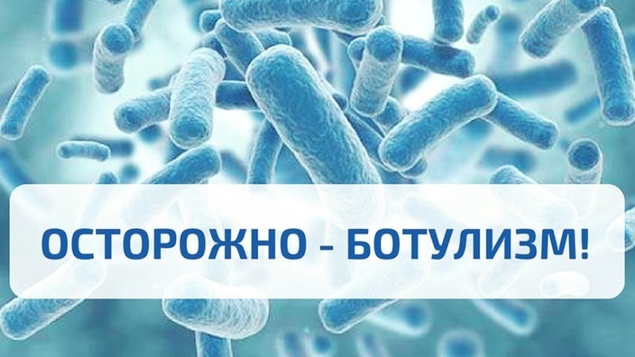 Памятка по профилактике ботулизма Памятка по профилактике ботулизма.